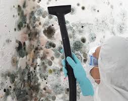 Best Mold Prevention Services in USA